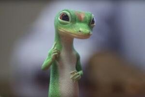 GEICO Gecko – Green Influencer