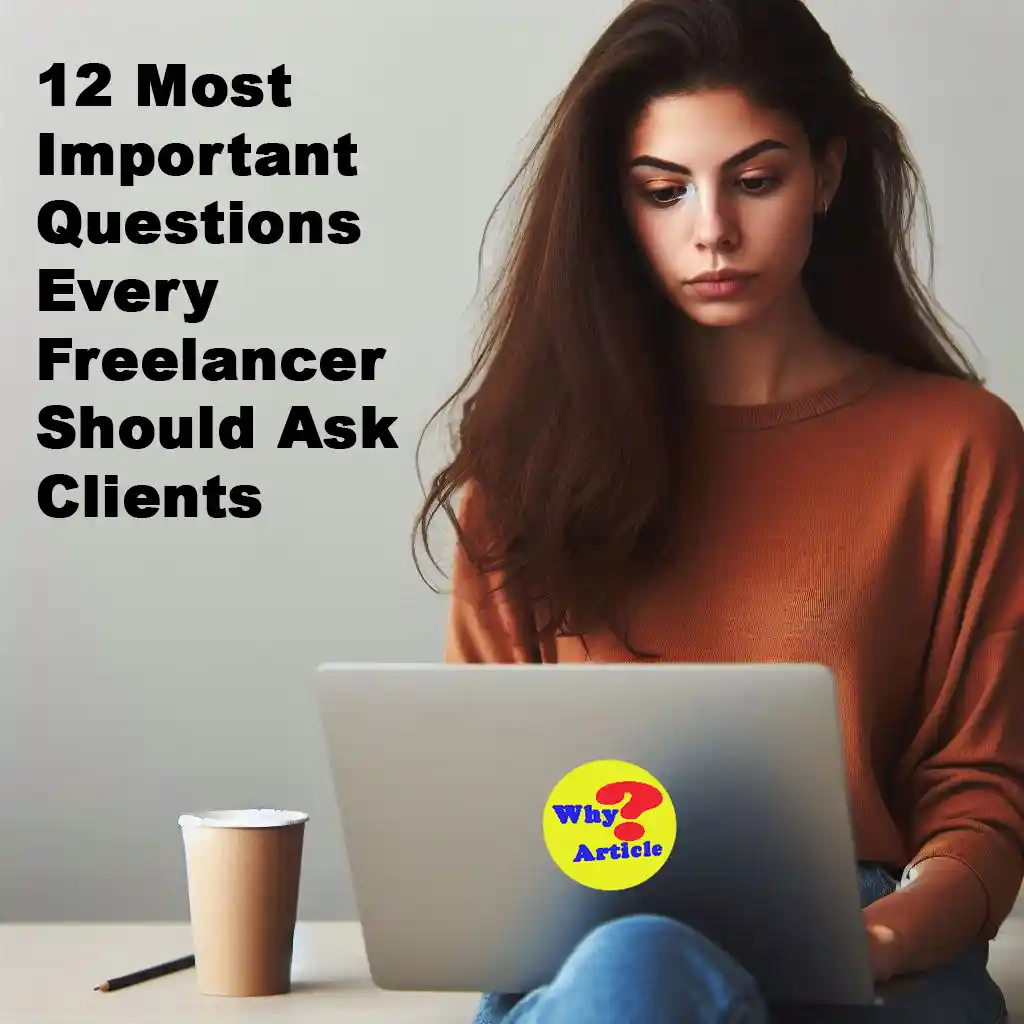 12 Most Important Questions Every Freelancer Should Ask Clients Discover 12 essential questions freelancers must ask clients to ensure successful and efficient project collaborations in 2024.